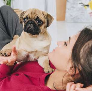 Acariciar um cão reduz pressão arterial? Ciência explica como a oxitocina acalma humanos e animais em segundos