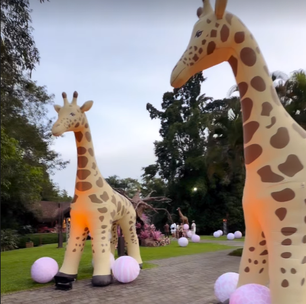 Girafa de 5 metros, 6 mil doces: veja como foi a festa da filha de Ludmilla