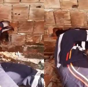 Vídeo mostra resgate de bebê encontrado abandonado entre paredes na PB; recém-nascido não resistiu