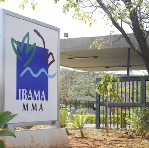 Câmara aprova projeto para limitar o poder de fiscalização do Ibama
