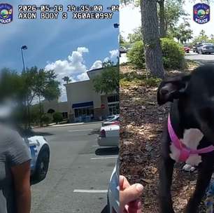 Mulher é presa por maus-tratos após deixar cachorro trancado em carro sob temperatura de 43°C