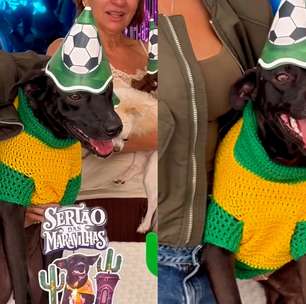 Cachorro acolhido por cantora na Paraíba ganha festa de mesversário de adoção