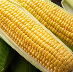 Milho cozido de festa junina: aprenda a receita tradicional