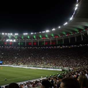 Torcedor do Fluminense viraliza ao confundir bandeira de patrocinador com a do Flamengo no Maraca
