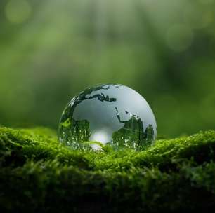 6 estratégias para aprender sobre meio ambiente e se preparar para o vestibular