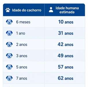 Tabela de idade de cachorro: seu pet pode ser mais velho do que você imagina