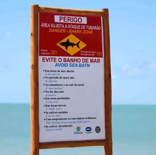 O paraíso das praias de Recife esconde um abismo de segurança entenda como a própria geografia da região atrai tubarões para a costa