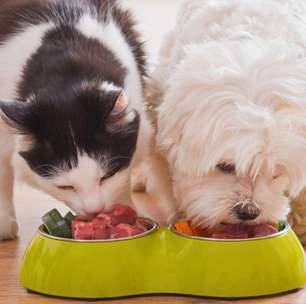 Alimentação pet: entenda as diferenças entre cães e gatos na hora de comer