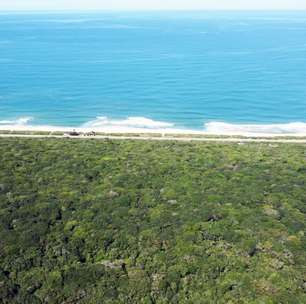 Restingas Cariocas reúne dados sobre ecossistema ameaçado no Rio