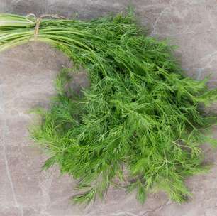 Ouro vegetal: o segredo verde que ajuda a reduzir o inchaço