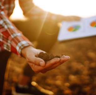 4Rest Preservation mostra como neutralizar carbono com Tokens Florestais na Web Summit