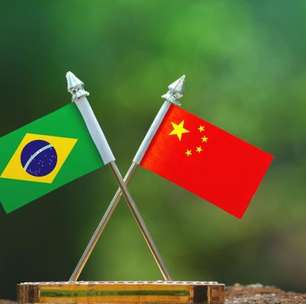 Mandarim poderá integrar grade curricular da rede pública estadual do Rio