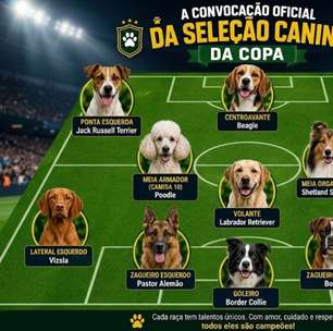 Saiu a convocação: veja quais raças entrariam na Seleção Canina da Copa
