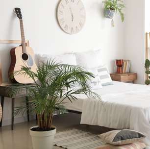 Dormir com plantas no quarto faz mal? A ciência explica por que esse mito não faz sentido