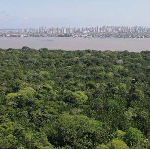 Amazônia se recupera de seca histórica, mostra MapBiomas
