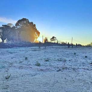 Cidade de SC registra menor temperatura do ano, com -6,7ºC; veja como ficou paisagem