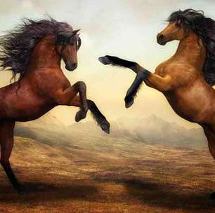 Raças de cavalos em diferentes partes do mundo: o que elas têm de especial