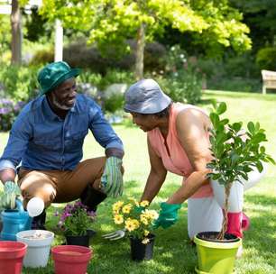 Como cuidar das plantas no inverno: 5 dicas essenciais