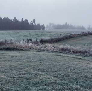 Onda de frio chega ao RS na próxima semana com risco de geada e neve na Serra