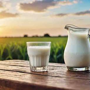Muito além da vaca: animais que fornecem leite para a alimentação humana