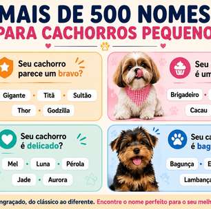 O que considerar antes de escolher o nome do seu cachorro? Veja mais de 500 opções