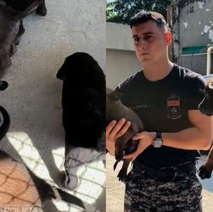 Vídeo mostra treinamento dos novos filhotes do Batalhão de Ações com Cães da PM no Rio