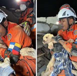 Cachorrinha é resgatada com vida 5 dias após terremotos devastarem a Venezuela