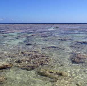 Recorde de calor nos oceanos em junho pode se repetir nos próximos meses, alerta Copernicus