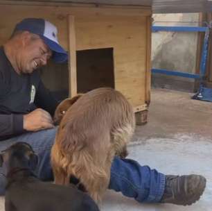Construiu mais de 1,7 mil casinhas! Caminhoneiro do interior de SP transforma oficina improvisada em refúgio para animais de rua