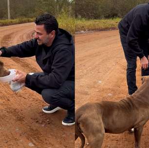 Pitbull abandonado é resgatado após dias enfrentando frio no Rio Grande do Sul