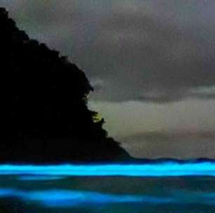 Bioluminescência: lugares pelo mundo com esse brilho espetacular e por que isso acontece