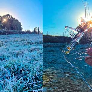 SC registra ao menos 19 cidades com temperaturas negativas; vídeo mostra até teia de aranha congelada