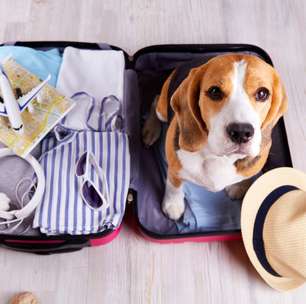 Como viajar com pets: dicas para uma experiência tranquila