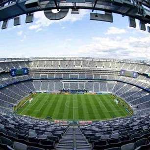 Fifa vende pedaços do gramado da final da Copa do Mundo por até R$ 15,5 mil; preço varia