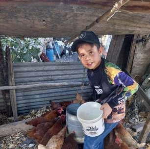 Aos 9 anos, menino cria 32 galinhas, vende ovos e aprende sobre empreender com negócio de família