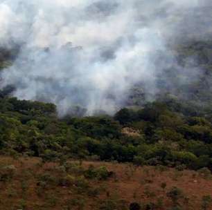 Incêndios na Amazônia caíram a mínimo histórico em 2025