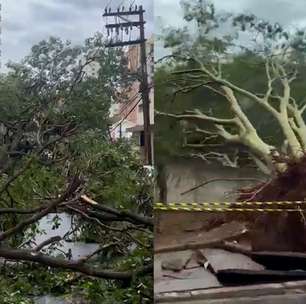 Tempestade causa destruição em Ribeirão Preto e cidade entra em estado de emergência