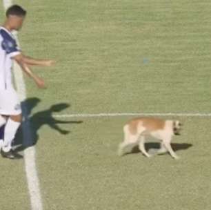 Jogo da Série D do Campeonato Brasileiro é marcado por invasão canina