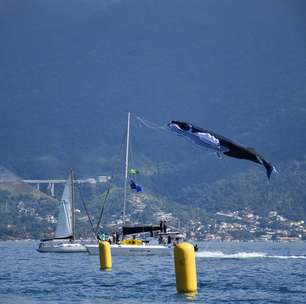 Conheça as classes e os barcos que disputam a 53ª Semana Internacional de Vela de Ilhabela