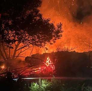 Incêndios na Itália consumiram 70 mil hectares neste verão, diz WWF