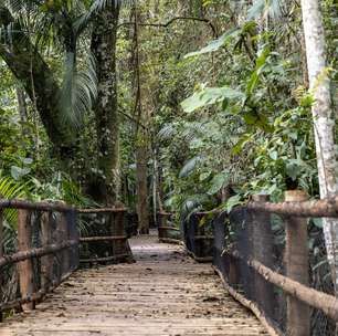 Jardim Botânico de SP abre as portas gratuitamente em aniversário