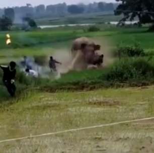 Elefante avança contra moradores após ser alvo de rojões na Índia