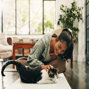 Gatos também pedem carinho: 7 comportamentos que mostram que eles querem atenção