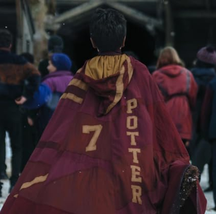 Série de Harry Potter está mudando os brasões das casas de Hogwarts - e os fãs não estão muito felizes