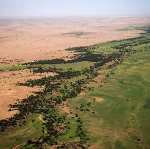 O Saara está engolindo aldeias inteiras: África tenta impedir isso há quase 20 anos com muralha verde de 8 mil quilômetros