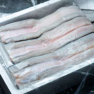 O peixe mais caro do mundo virou império na China: país domina 70% da produção global de enguias e opera megafazendas industriais