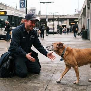 Há seis anos trabalhando no mesmo terminal, motorista encontra novamente o cachorro que costumava esperar seu ônibus no ponto final antes de desaparecer por oito meses, mas o animal retorna mais velho, com uma orelha machucada, e volta a dormir todas as noites debaixo do banco onde os dois dividiam biscoitos