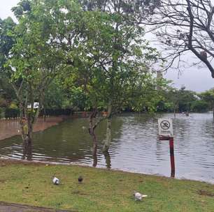 Parque Centenário é interditado após rio Tietê transbordar em Mogi das Cruzes