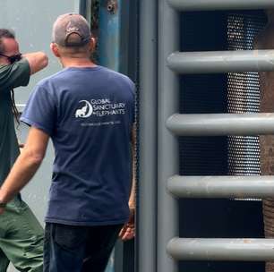 Tratador fica emocionado ao se despedir de elefante Sandro no Zoológico de Sorocaba