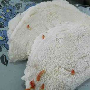 Tapioca conquista as ruas e se firma como um dos sabores mais populares do Brasil